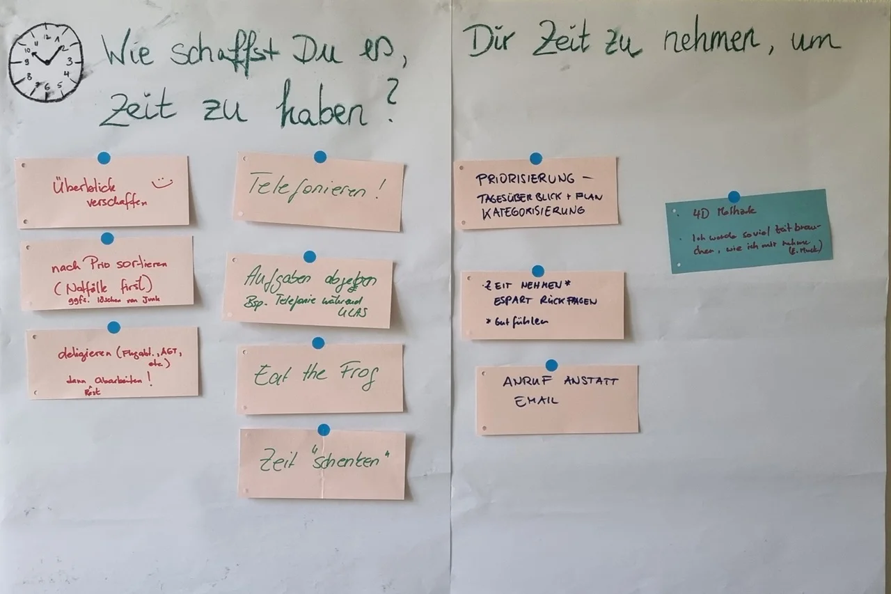 Fallstudie Chamaeleon