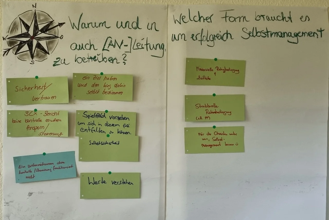 Fallstudie Chamaeleon